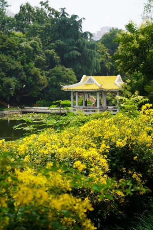  春季