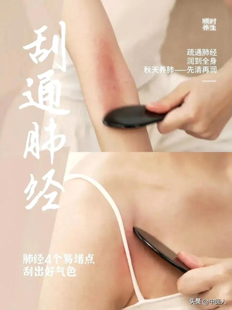 清除肺经热