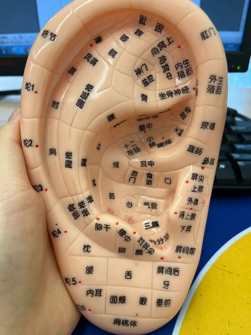 耳穴疗法